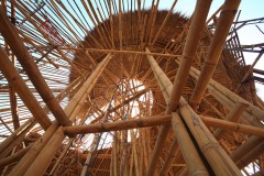 bambu